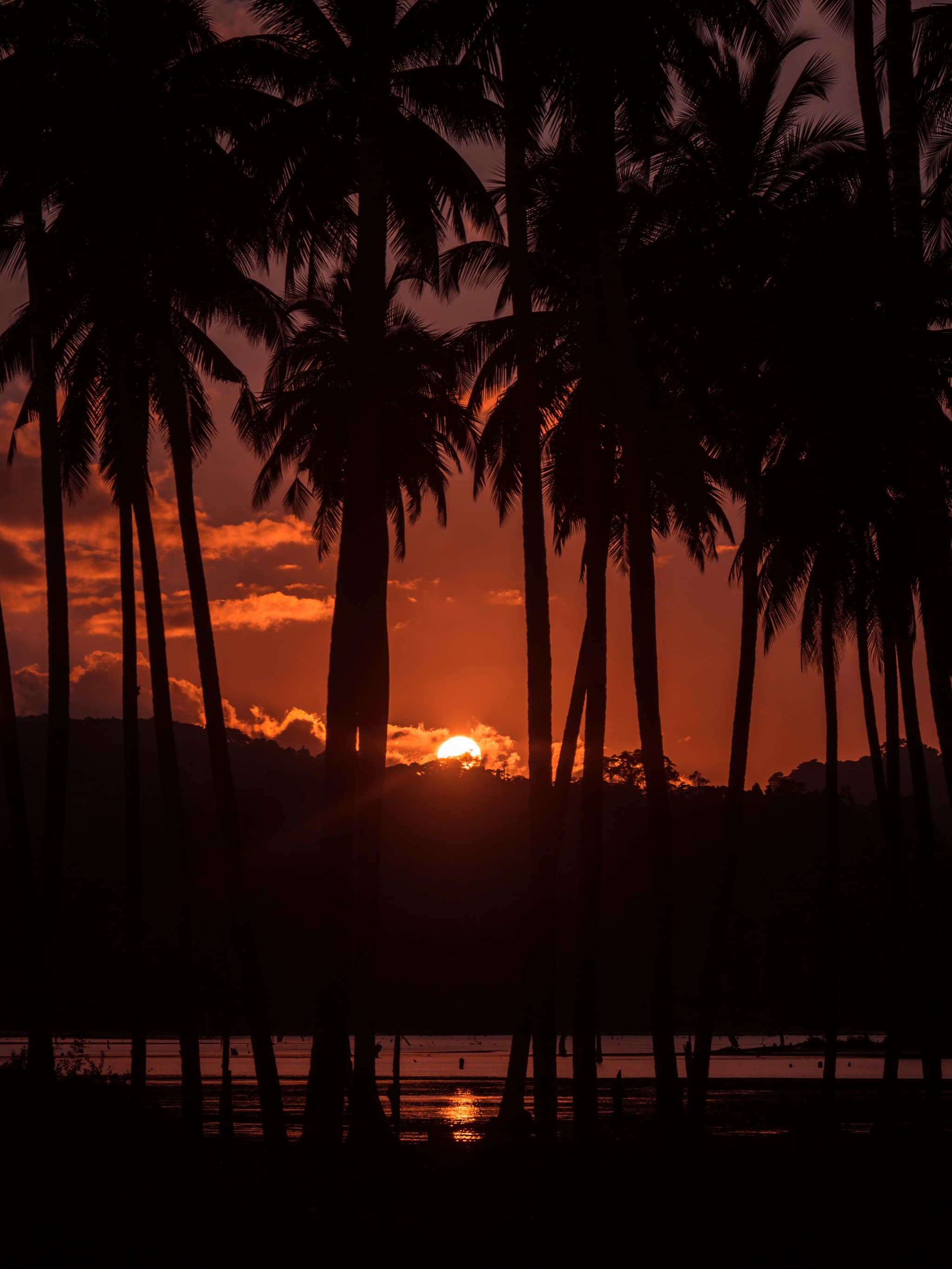 Andaman Luxury Escape