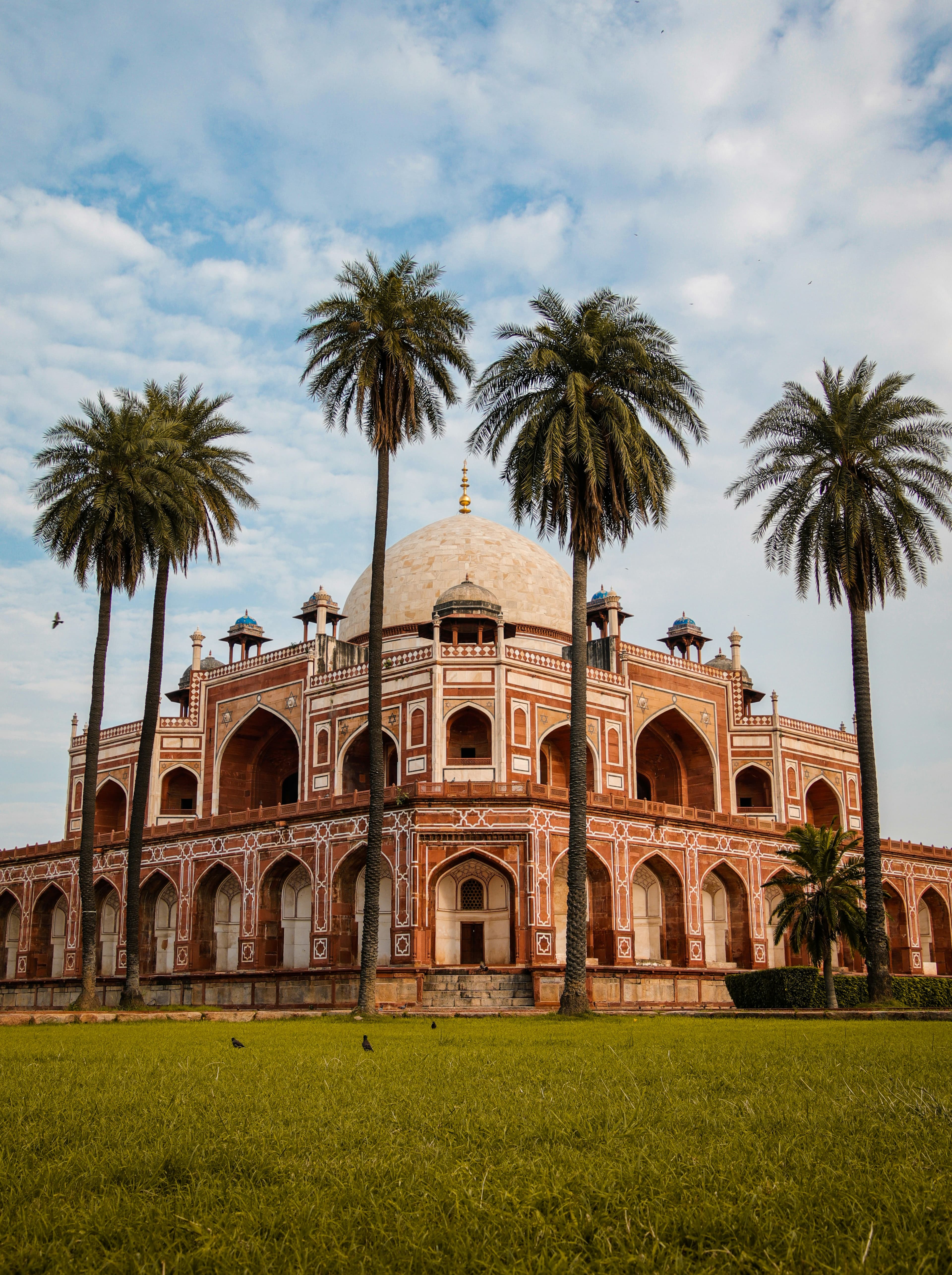 Arrival in Delhi